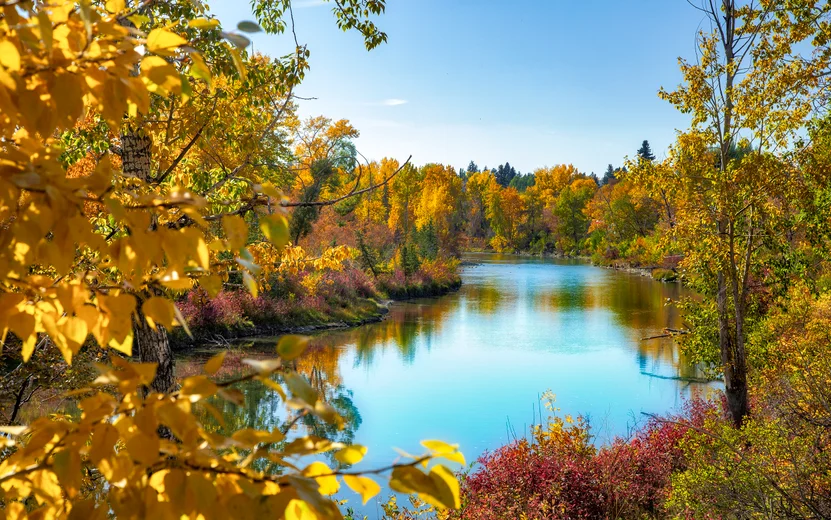 Calgary